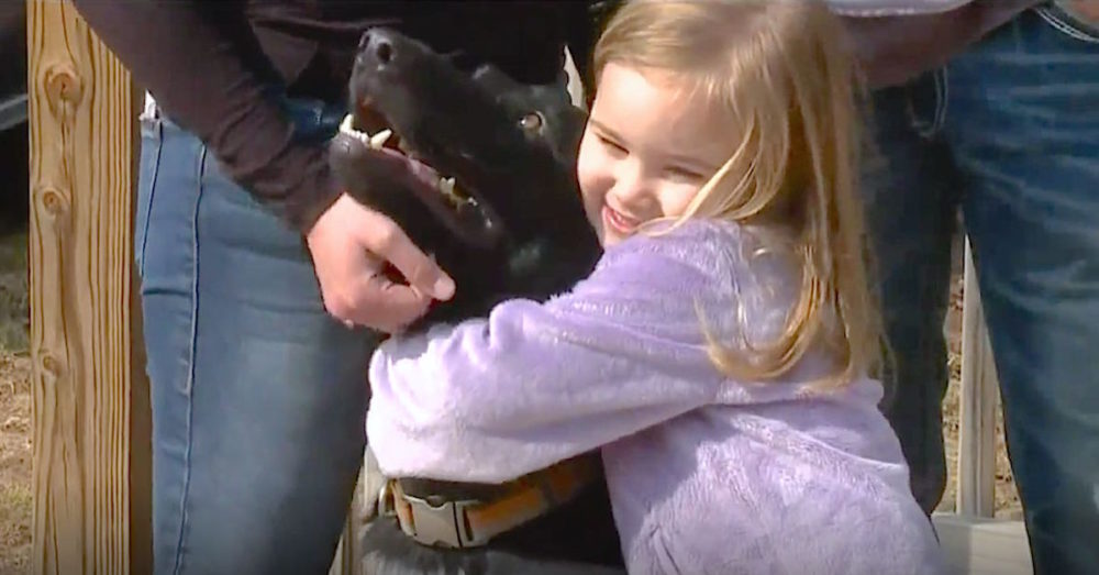 Man With Knife Tries Breaking Into Family’s Home But Doesn’t Account For Their German Shepherd