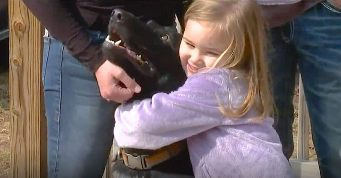 Man With Knife Tries Breaking Into Family’s Home But Doesn’t Account For Their German Shepherd