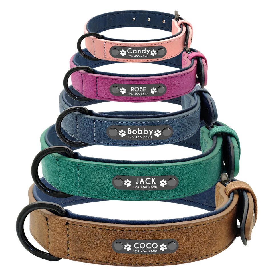 Desire™ - Premium Leather Personalized Dog ID Collars