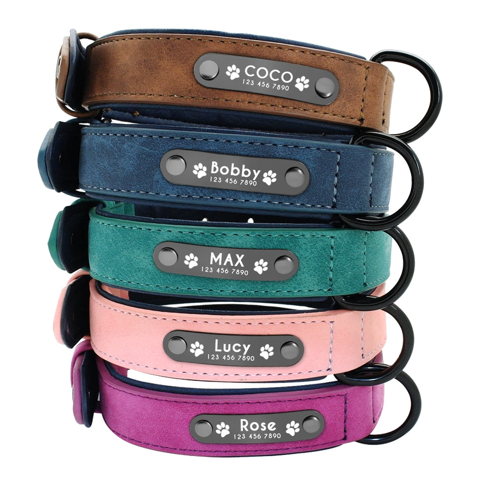 Desire™ - Premium Leather Personalized Dog ID Collars