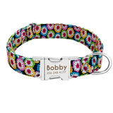 Classy™ - Personalized Dog ID Collars