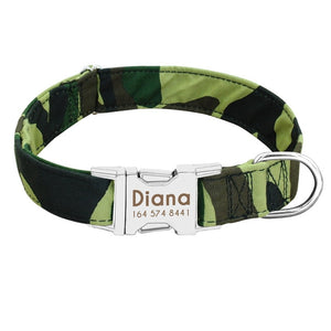 Classy™ - Personalized Dog ID Collars